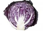 Violet cabbage extract